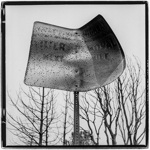 LIFE SQUARED - &ldquo;FUBAR - CARR FIRE - Redding, CA&rdquo; &copy; 2018 Peter DaSilva. #fubar #wildfire #totalburnthtough #carrfire #redding #globalwarming #devistation #burned #trees #newnormal #120 #ilford #delta400pro #bw #film #fullframe #rollei