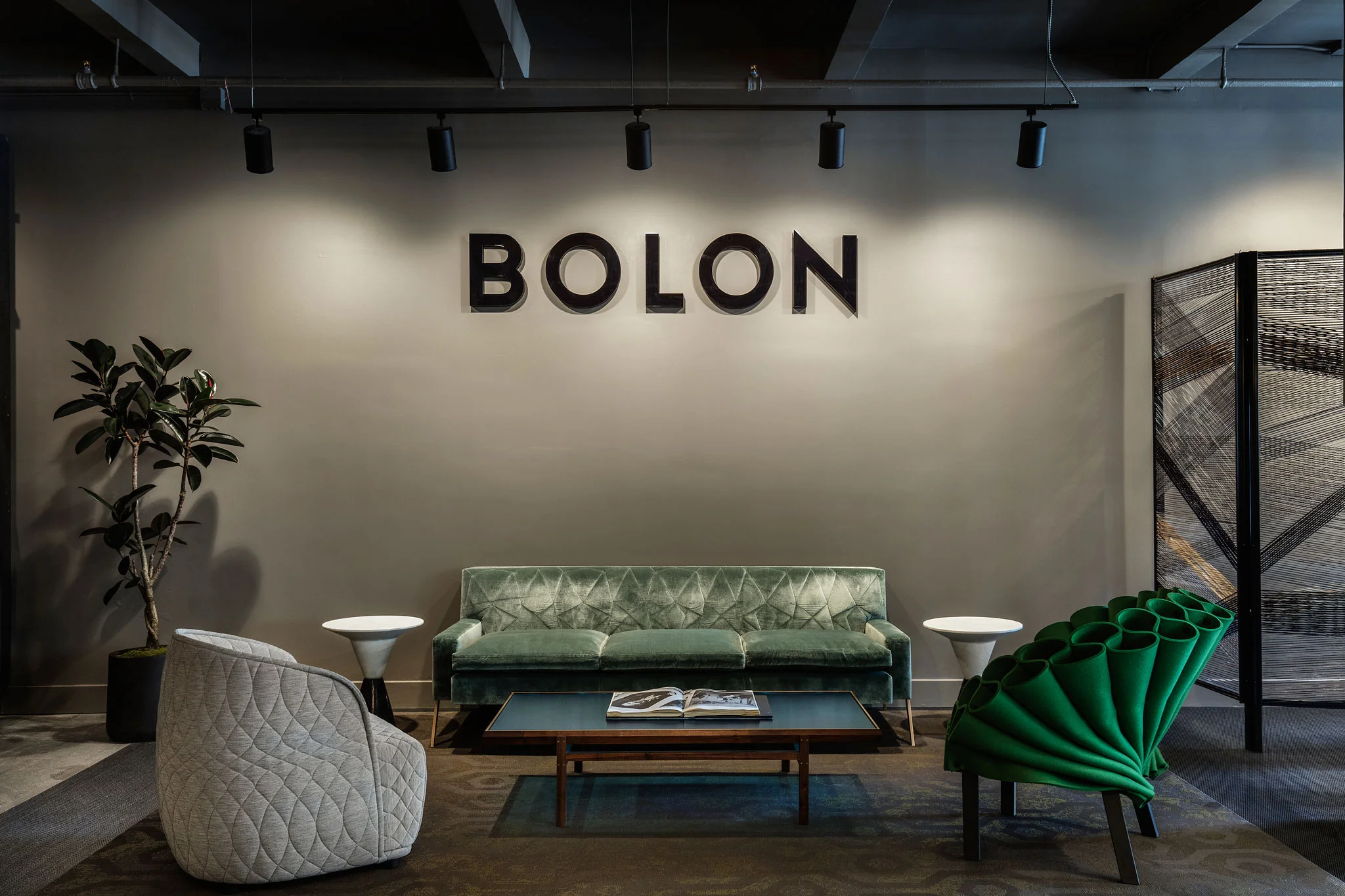 Bolon1574_web.jpg
