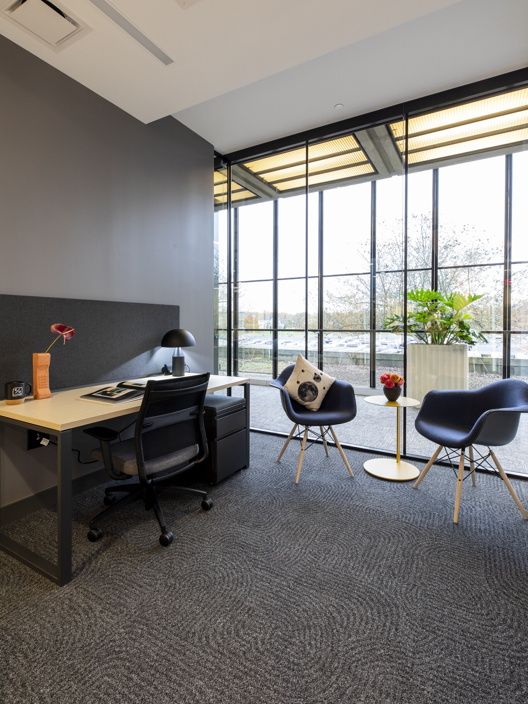 Co_Lab_0213.jpg