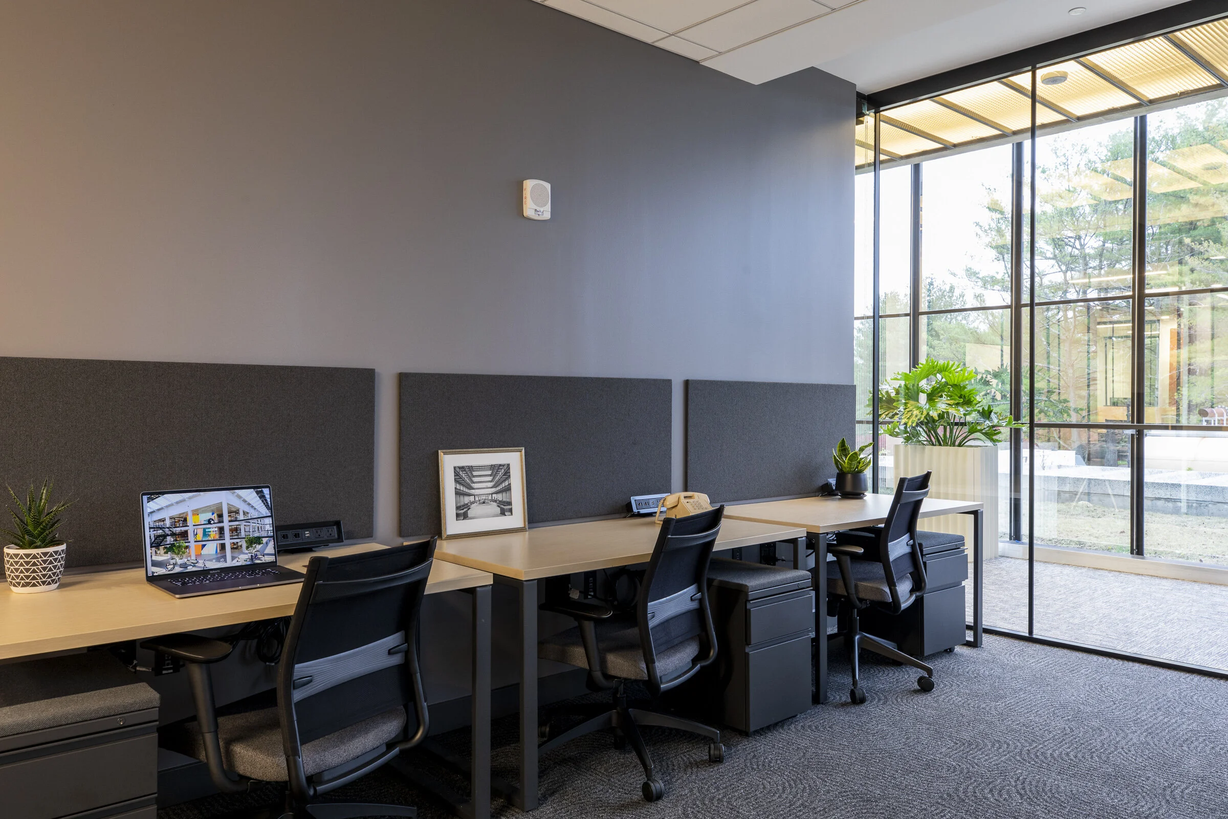 Co_Lab_0314.jpg
