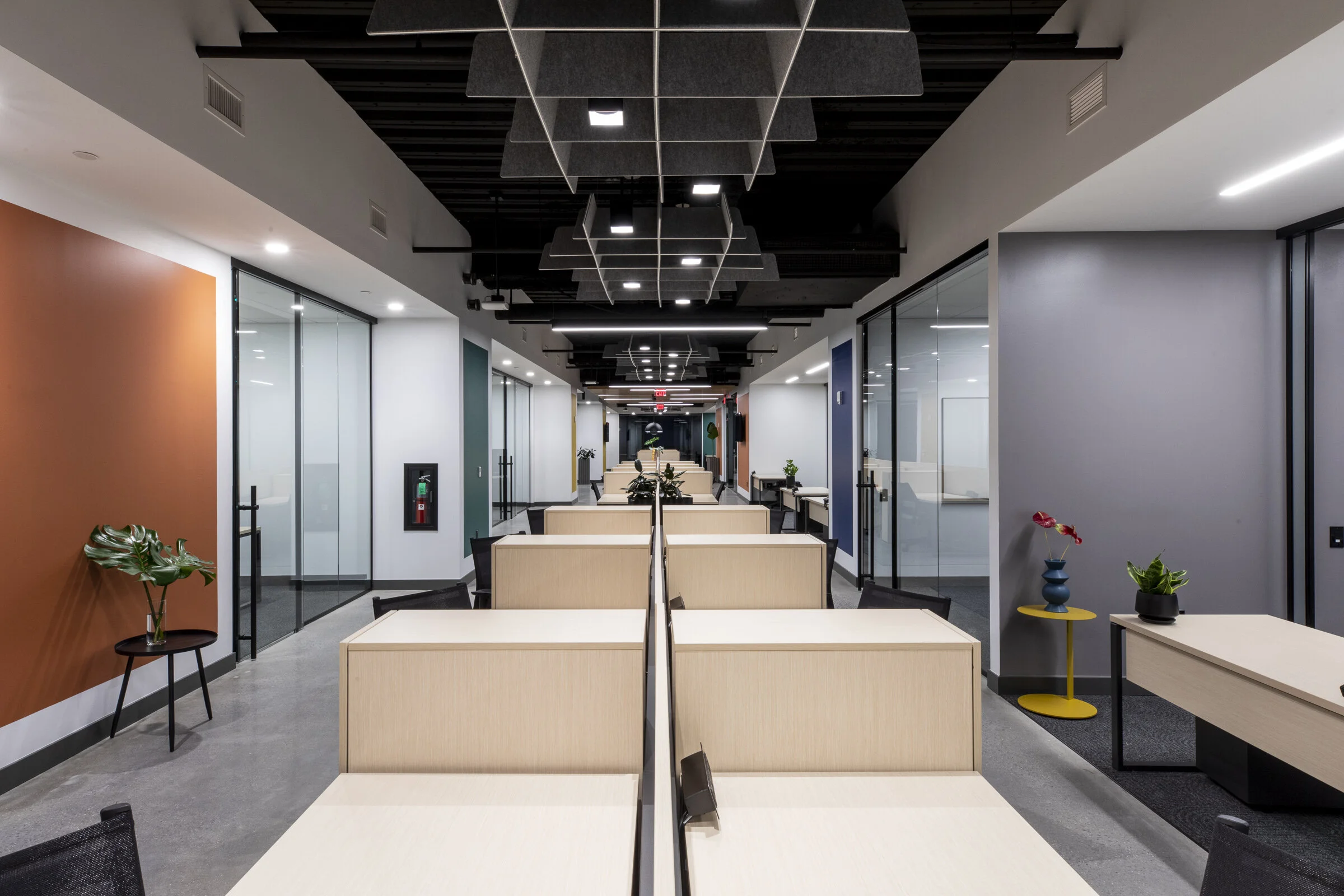 Co_Lab_0357 (1).jpg