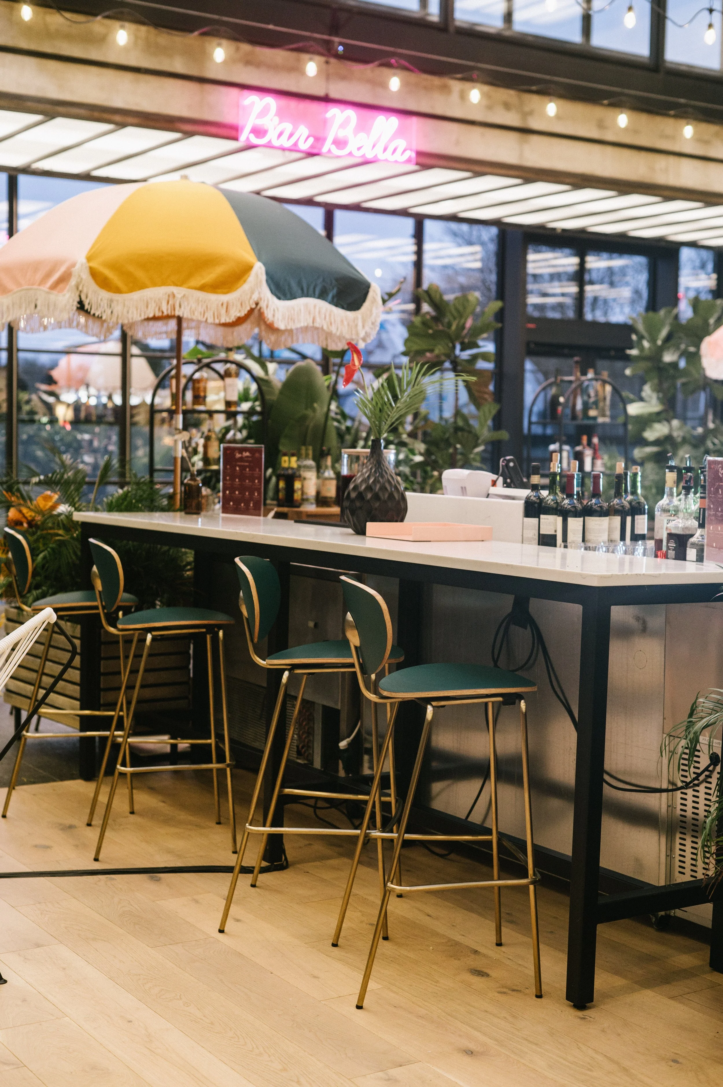 Bar Bella Inverno — npz studio+