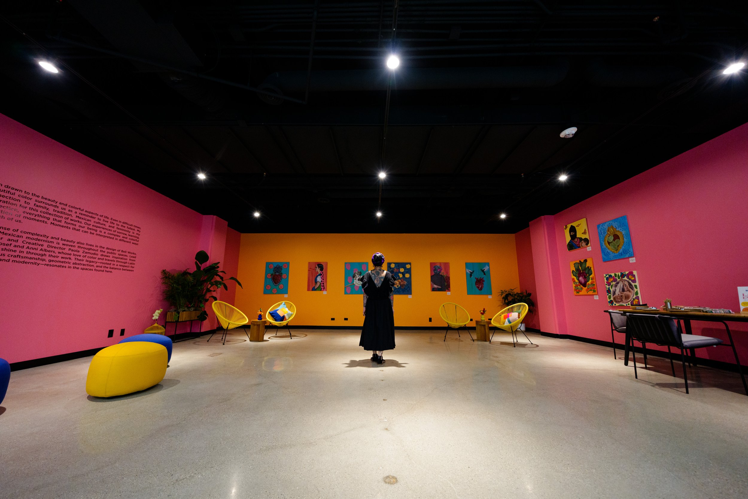 La Vida en Color — npz studio+