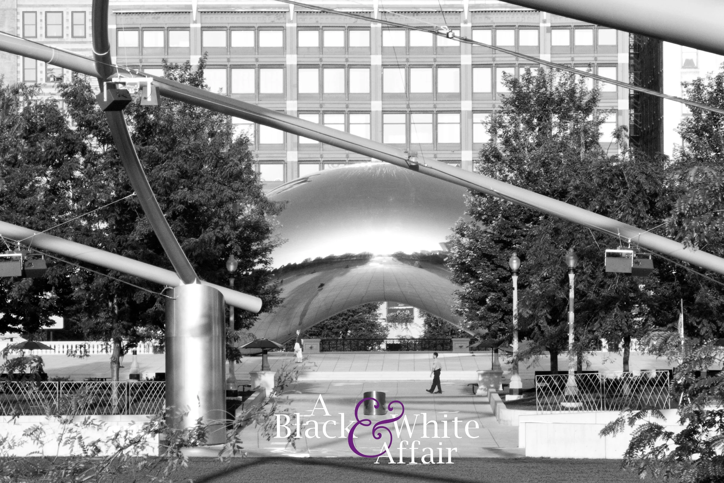 TheBean_2024WM.jpg