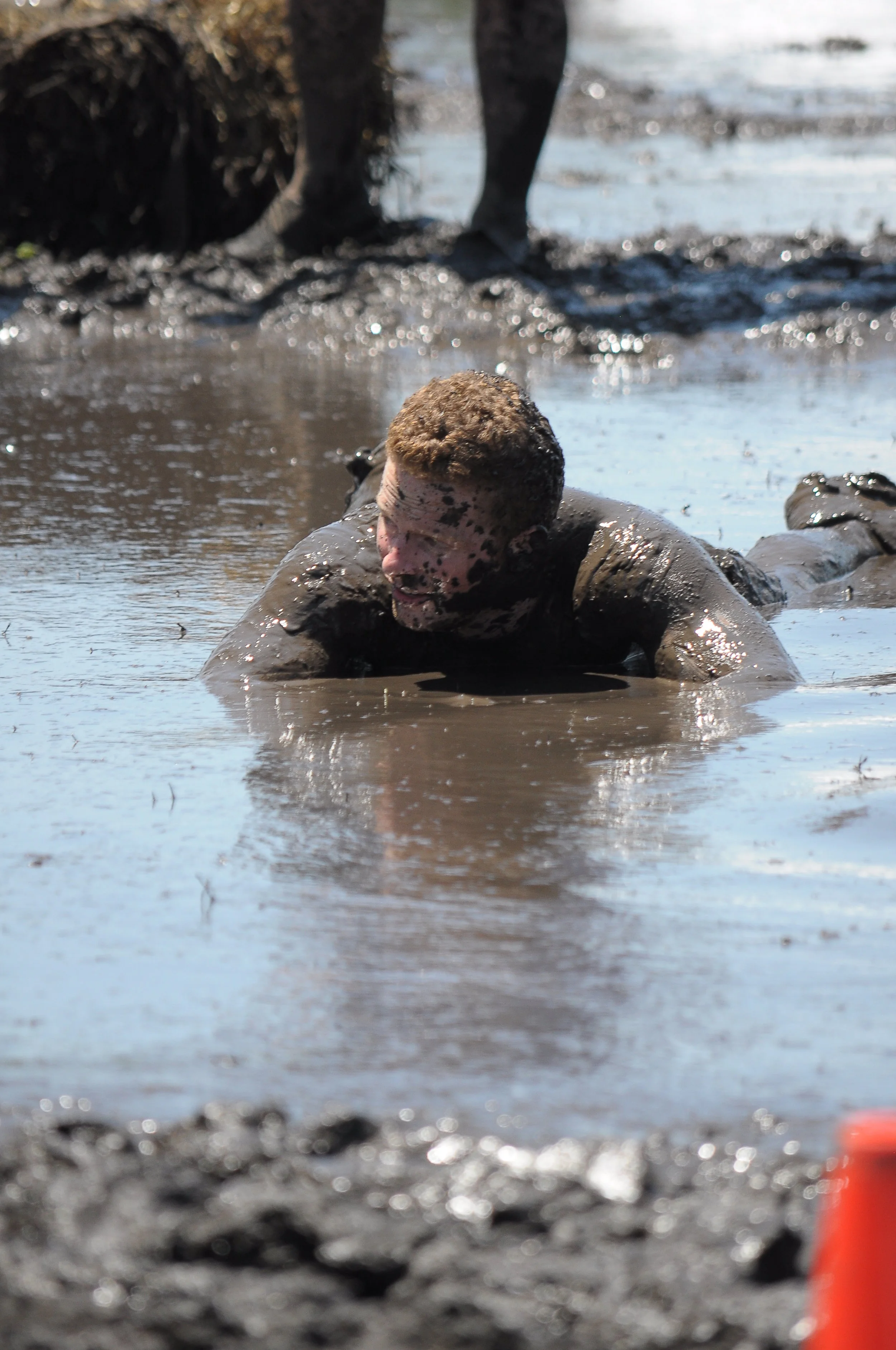 Registration Price Hike