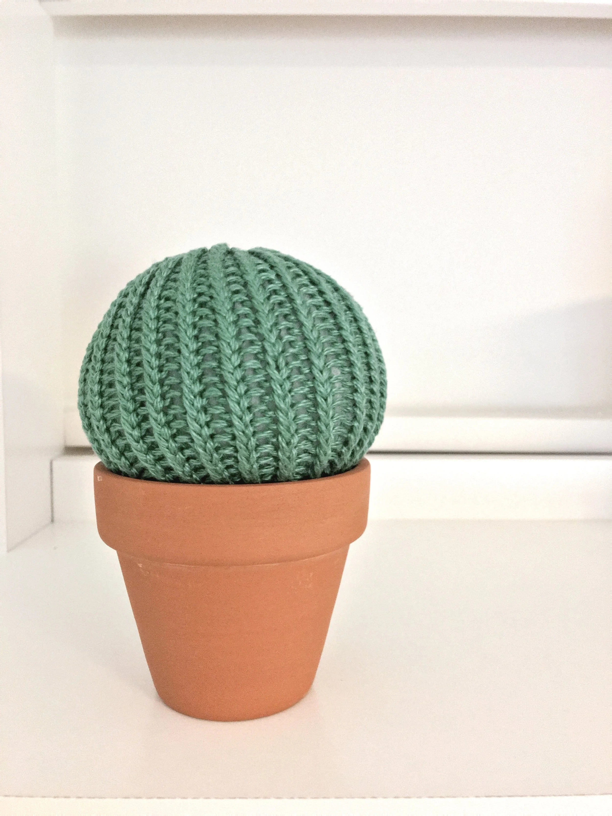 round cactus.JPG