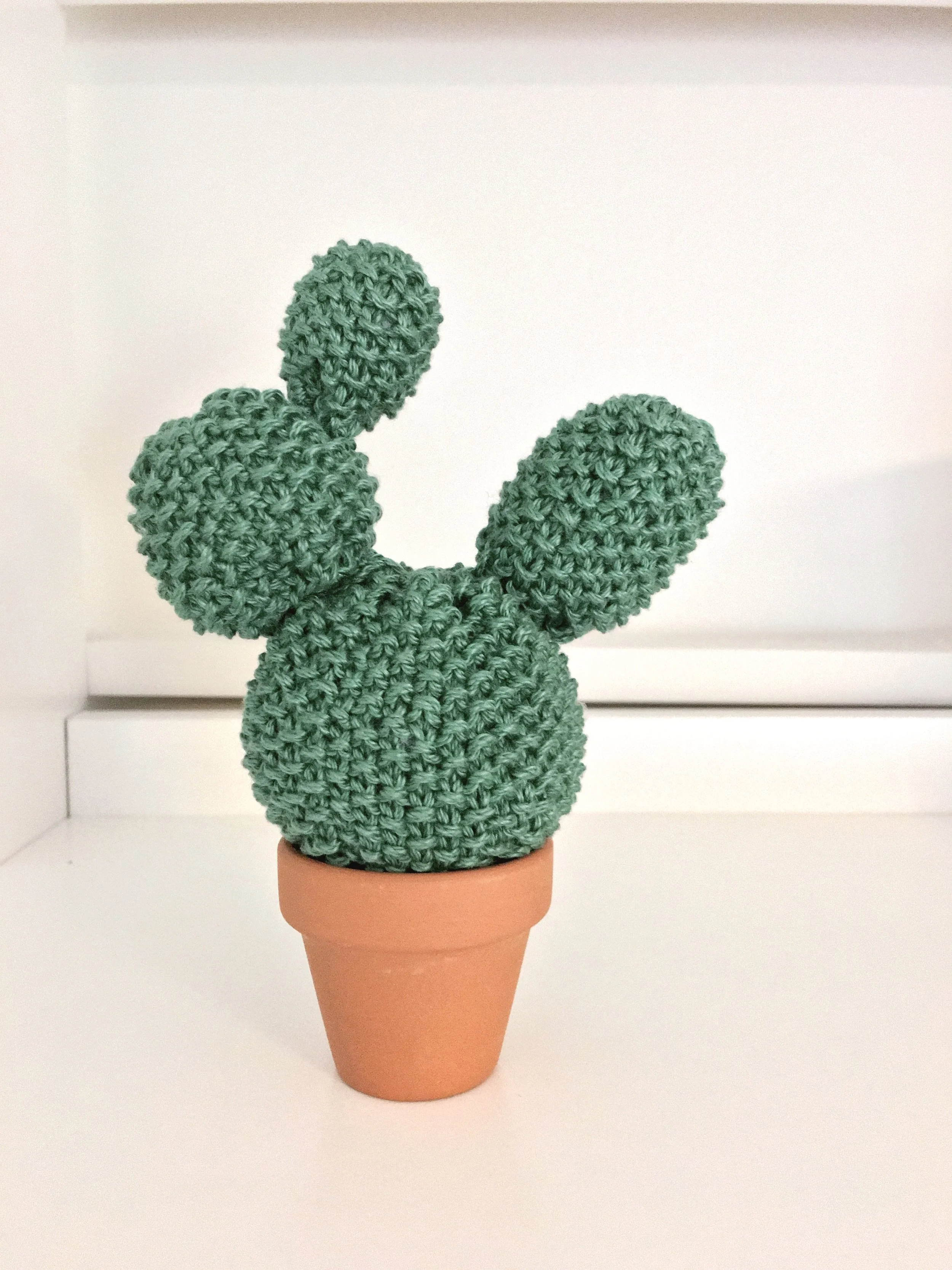bobbly cactus.JPG