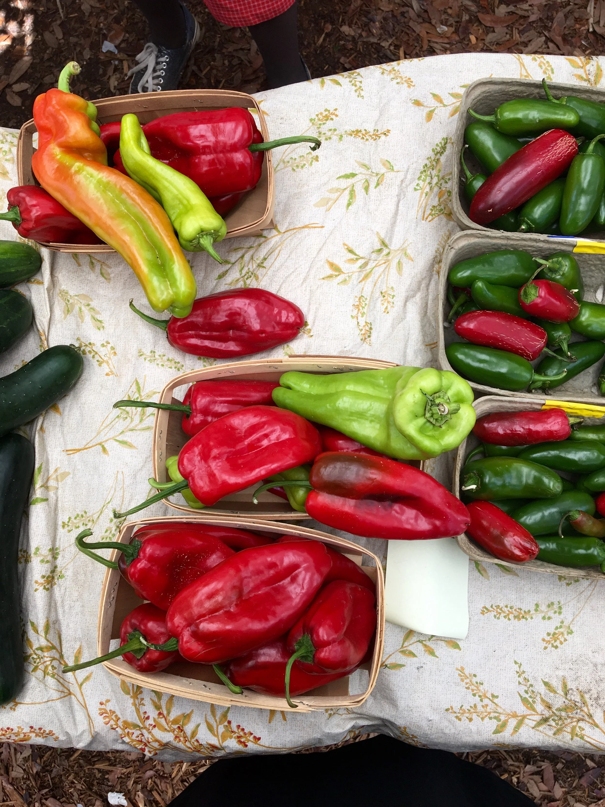 Visiting the Tallahassee downtown market