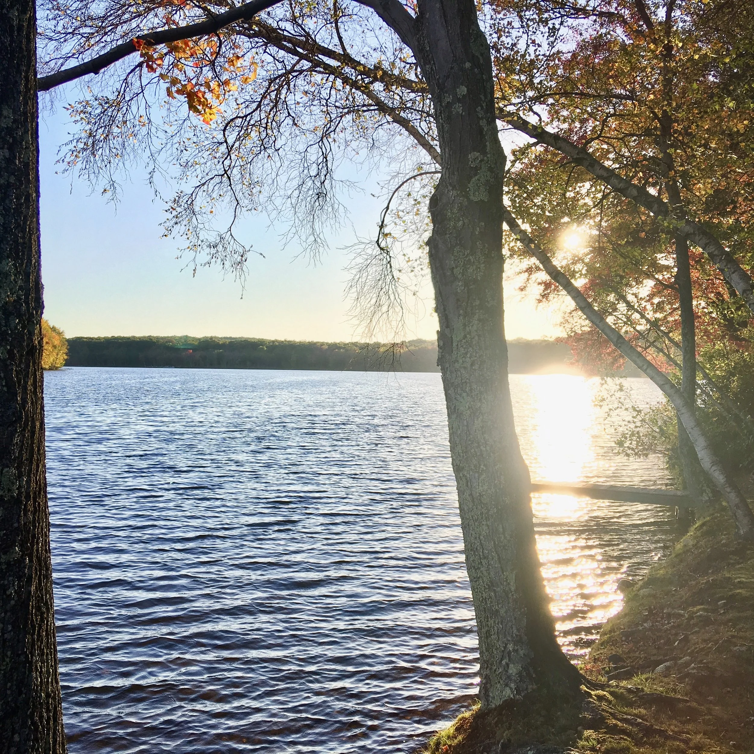 Our Infertility Journey: Part Three