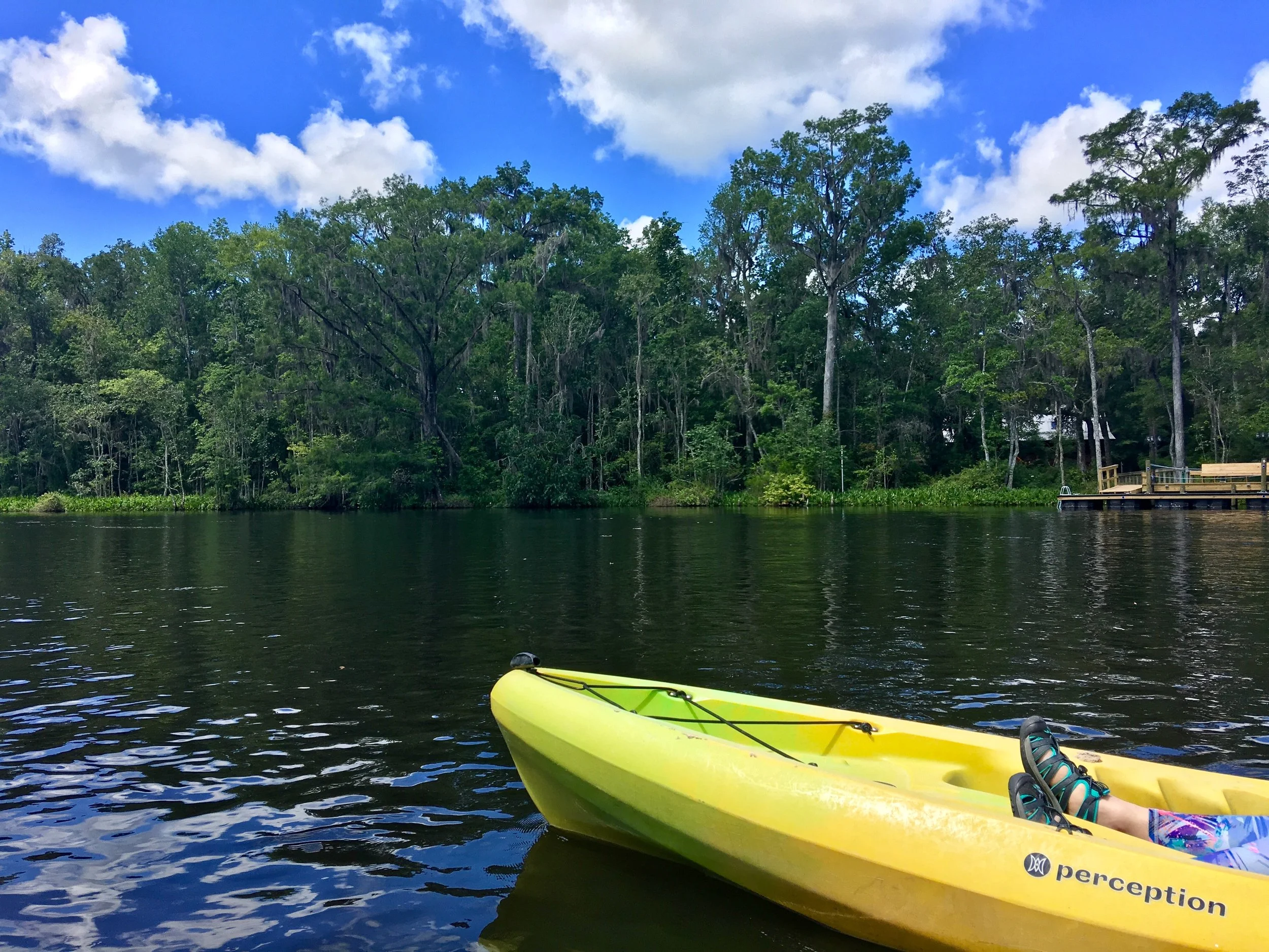 Newlywed Date: Kayaking the Wakulla River