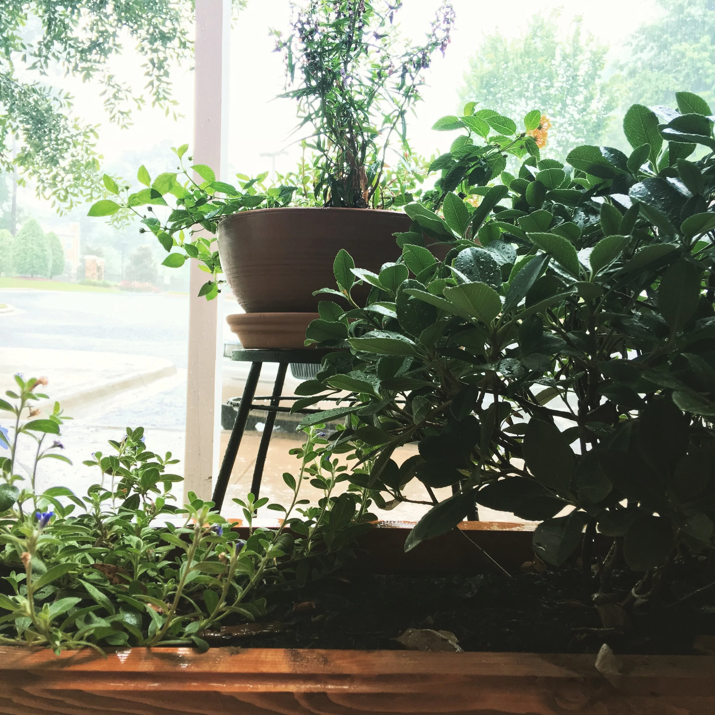 Our Infertility Journey: Part One