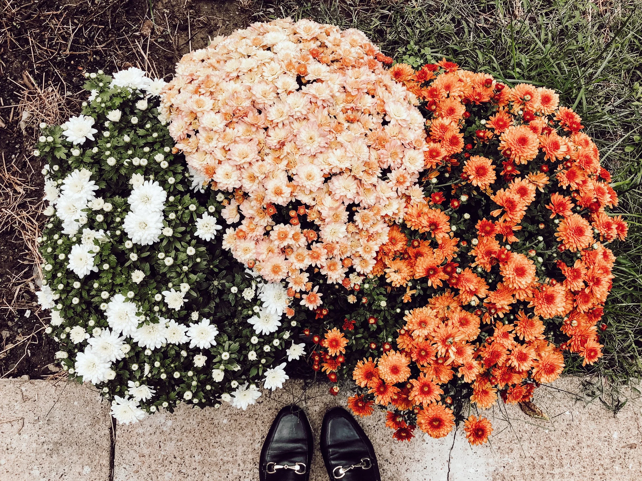 Our Infertility Journey: Part Four