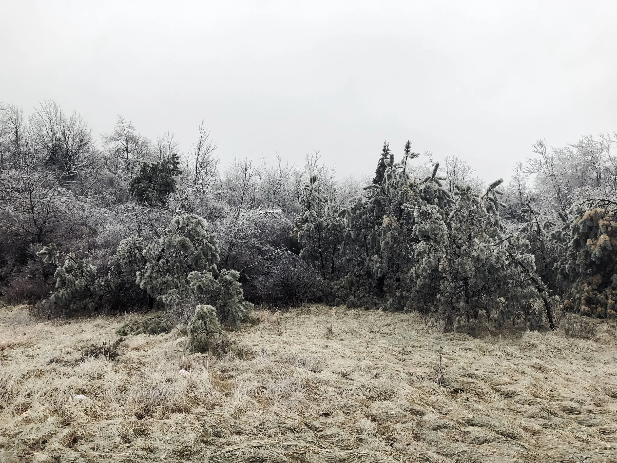 Finding strength when I need it most