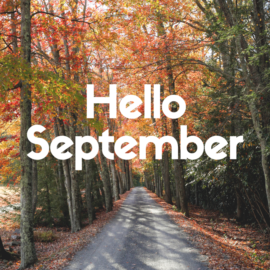 2016 goals: starting a new season