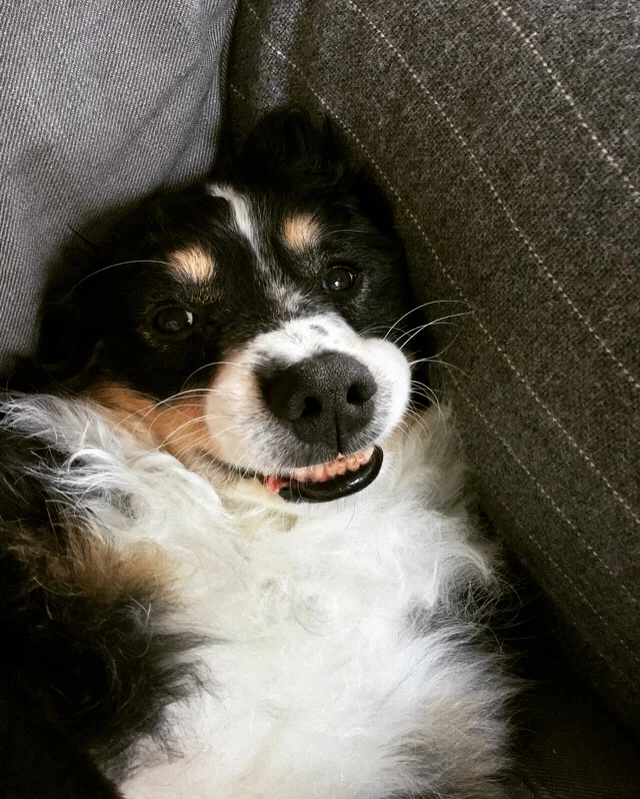 The challenge of comparisons