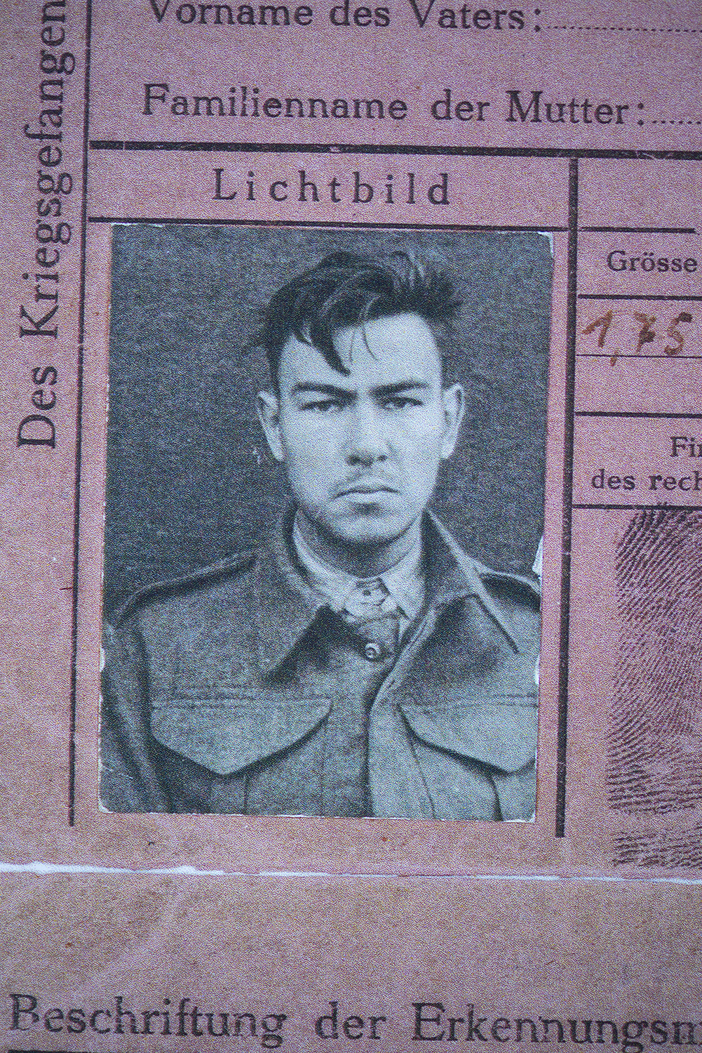 Doolan6.jpg