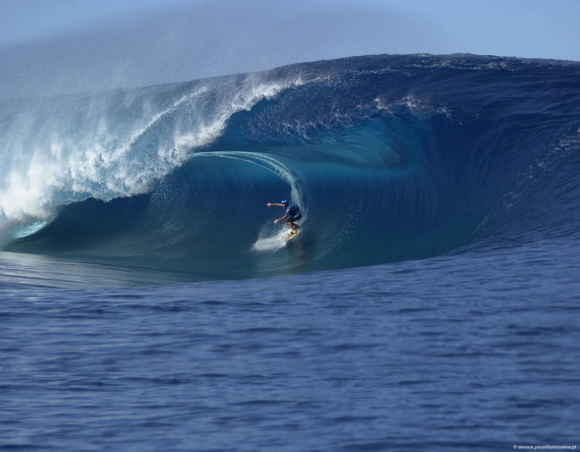 surf2.jpg