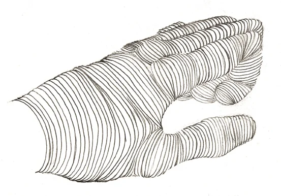 Hand.jpg