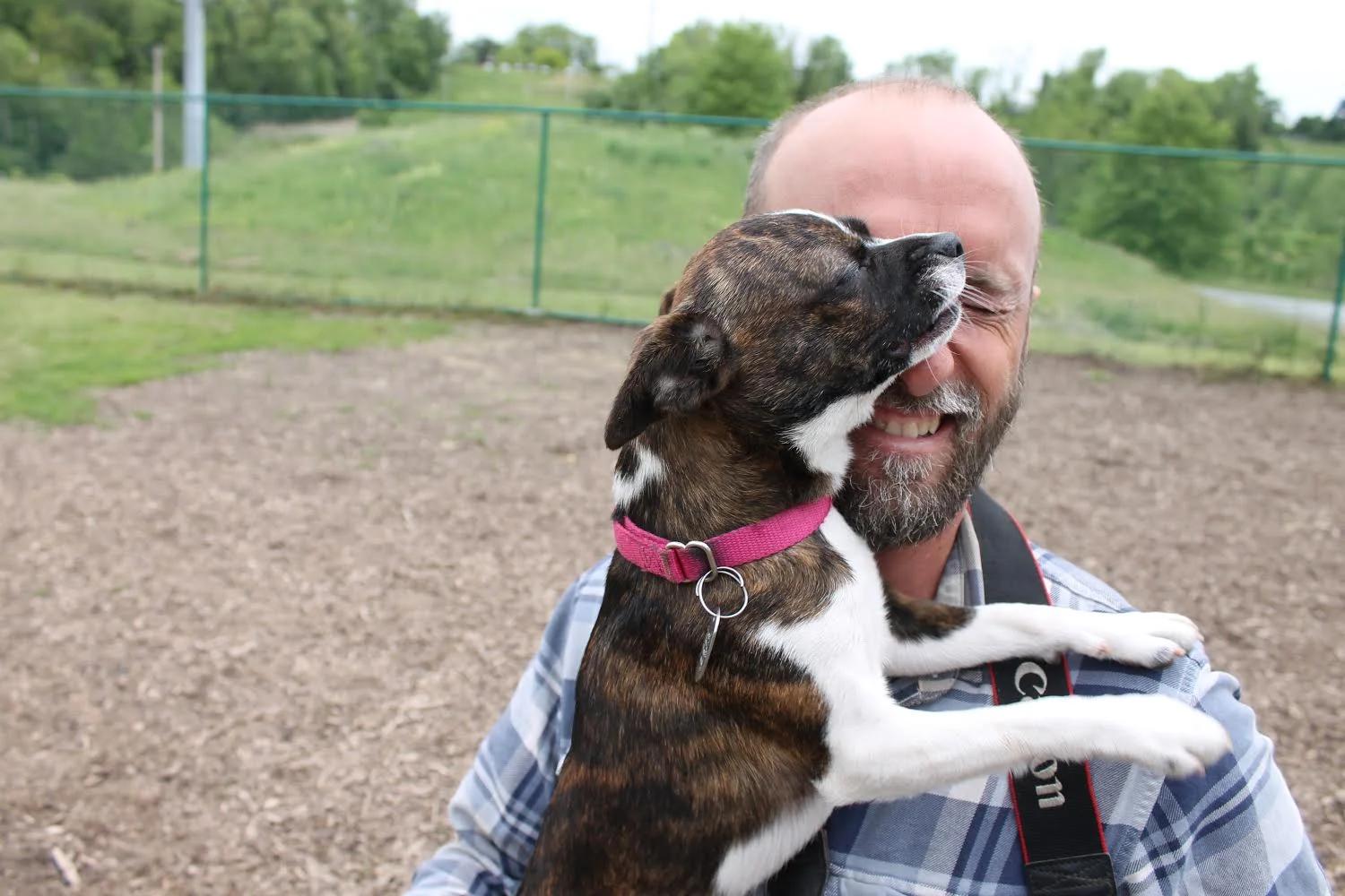 Professional, Positive Dog Training in Albany, NY
