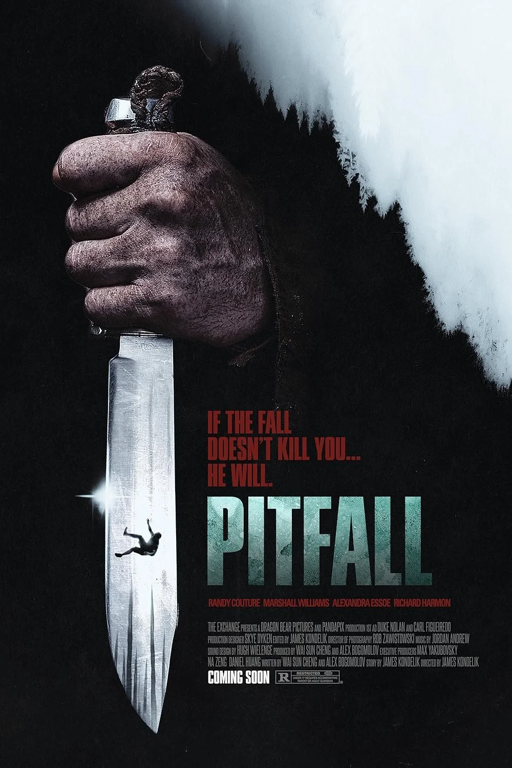 PItfall.jpg