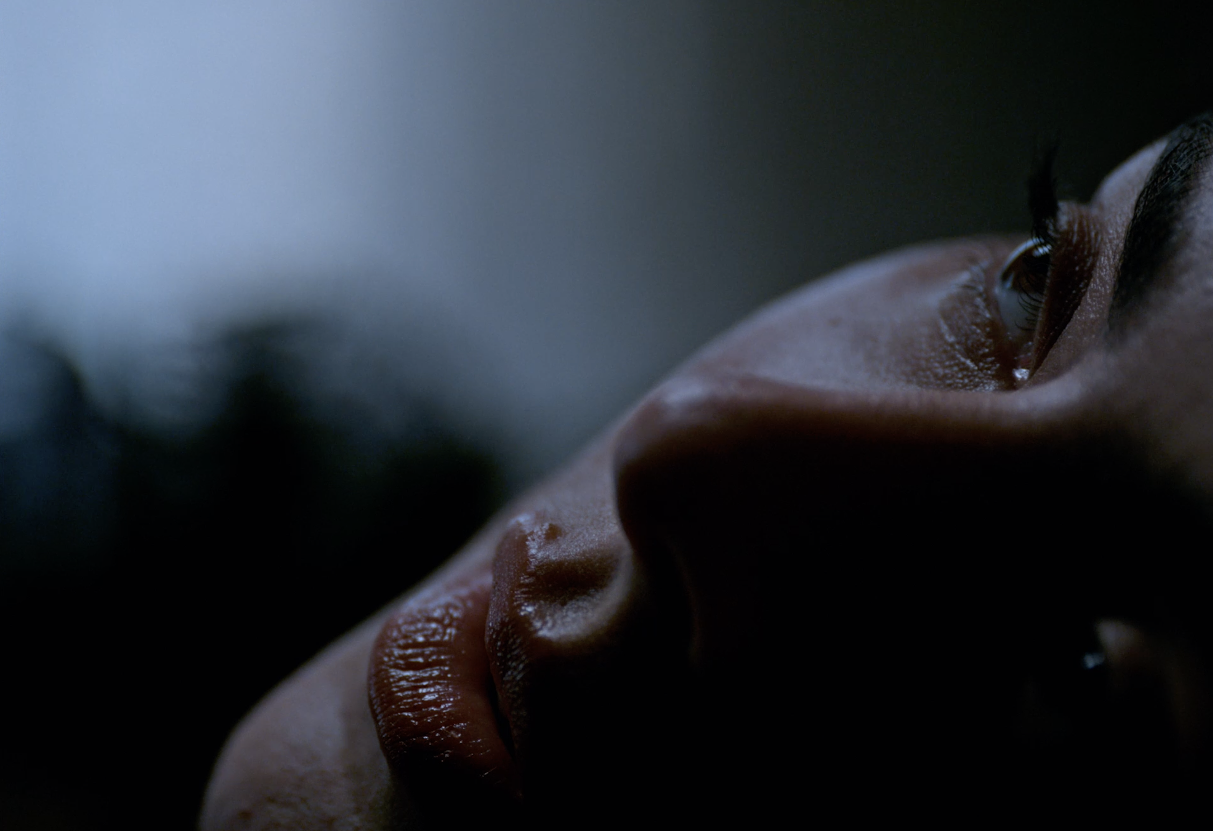 Screenshot 2025-12-29 at 7.27.33 PM.png