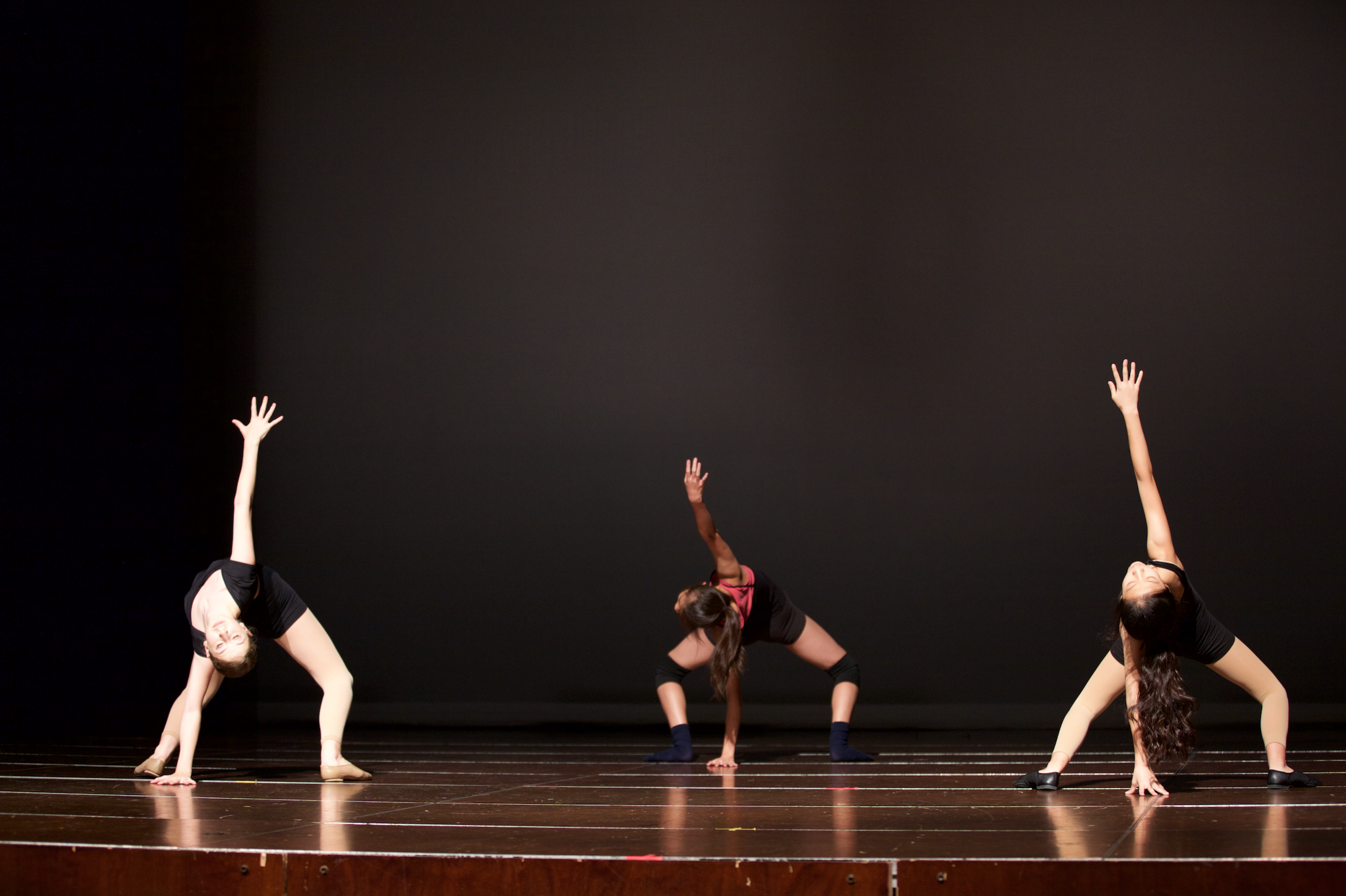 Don't Give Up, Contemporary Ballet (13+)