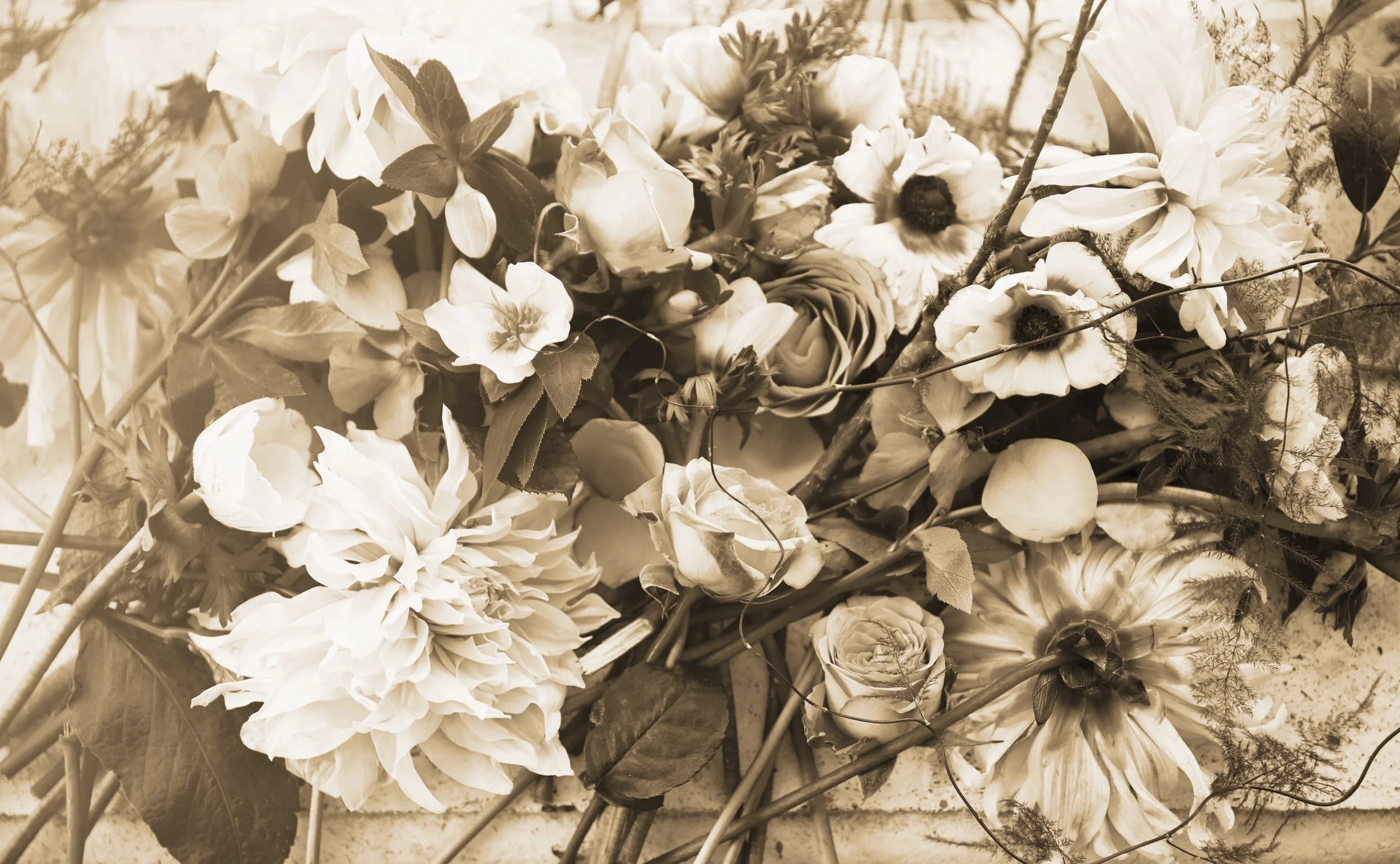 AndyFloralsFeb51976 2_49.jpg