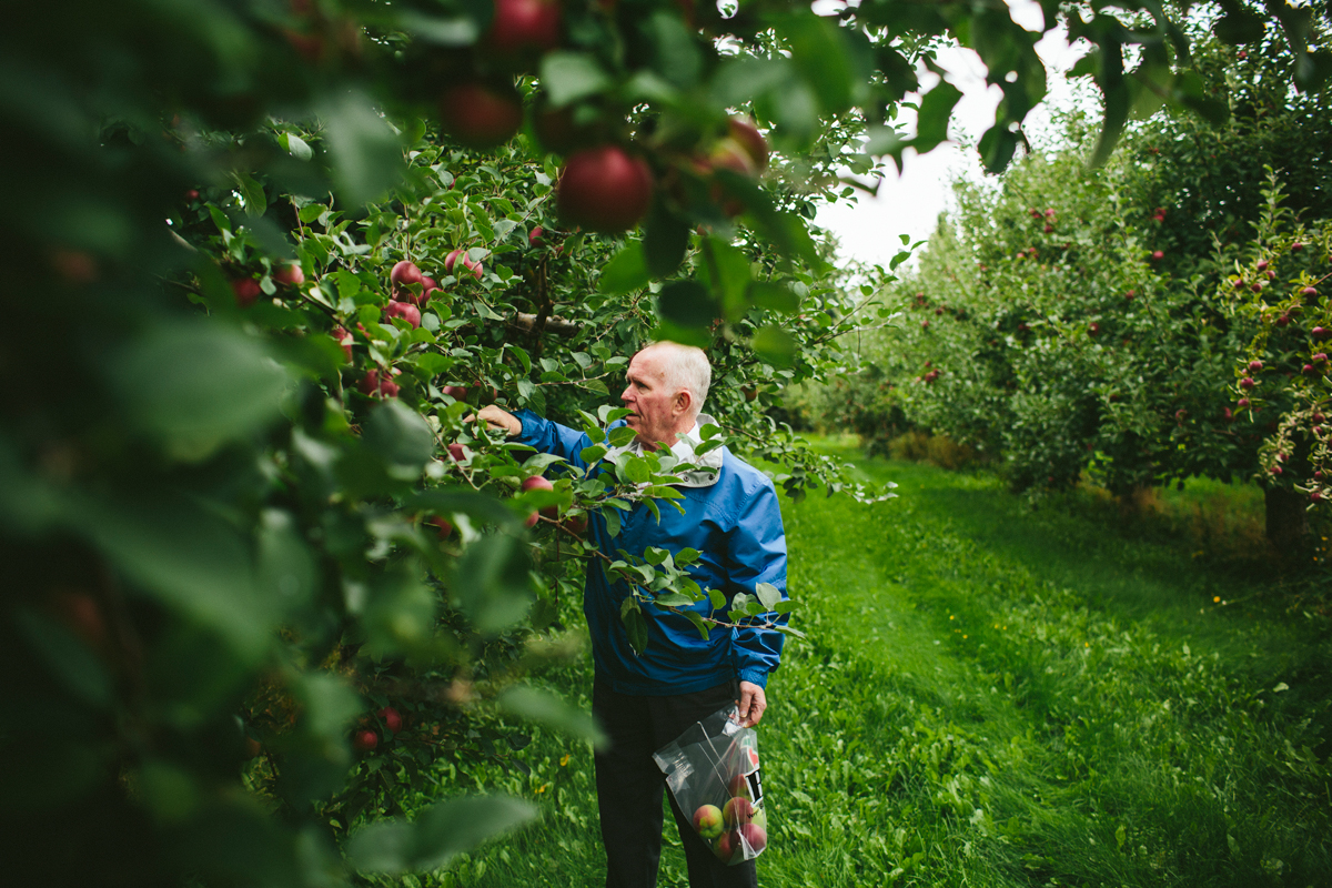 Belliveau Orchard New Brunswick Wedding