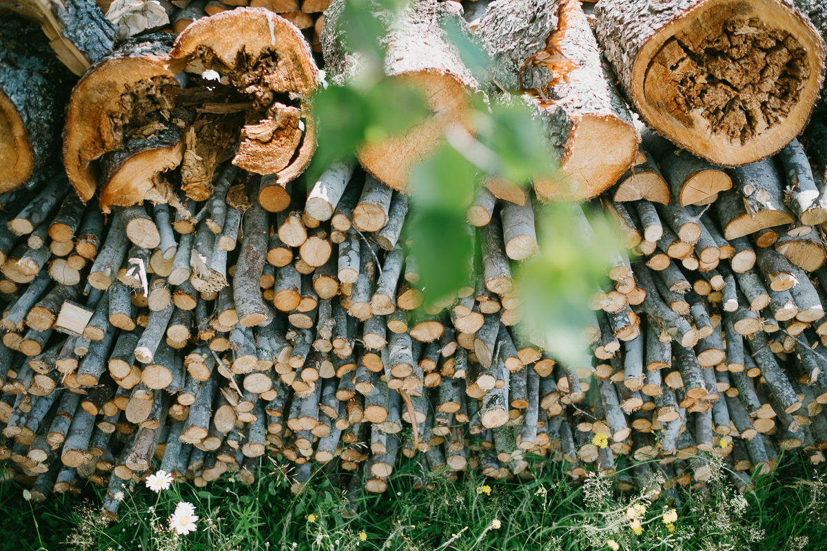 An Inkerman New Brunswick Wedding