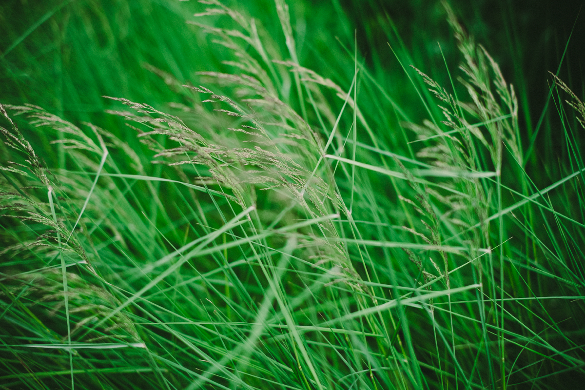 Nova Scotia Cottage Wedding