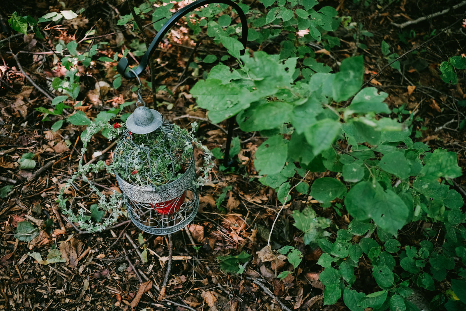 Wolfville gaspereau valley nova scotia Backyard Yurt Wedding