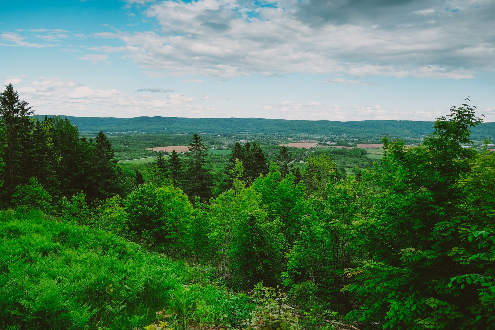 An intimate summer wedding in bridgetown nova scotia