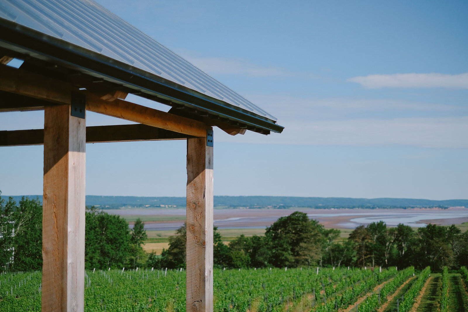 A summer Lightfoot &amp; Wolfville Wedding