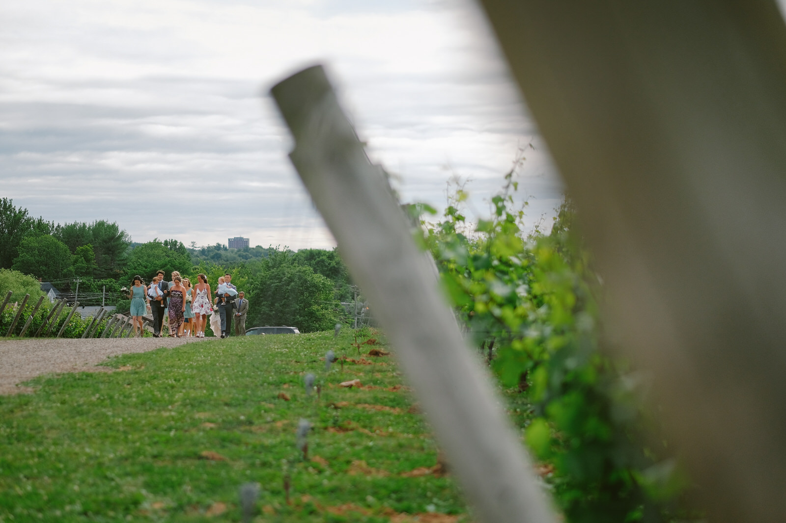 A summer Lightfoot &amp; Wolfville Wedding