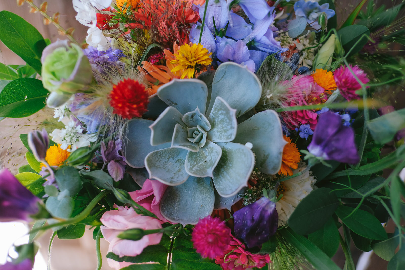 Barefoot Blooms Nova Scotia Florist