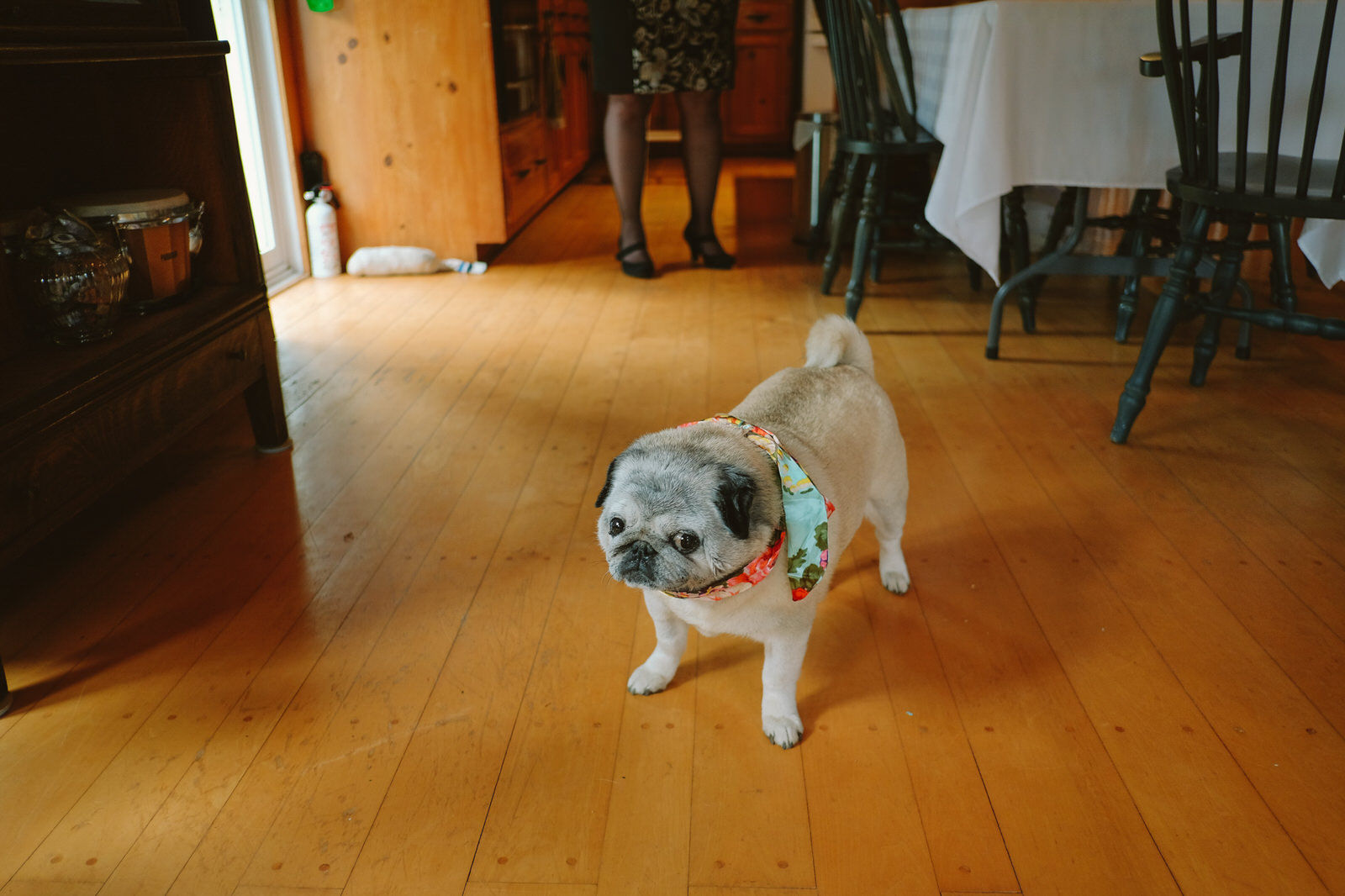 An Autumn Wedding in Indian River Prince Edward Island