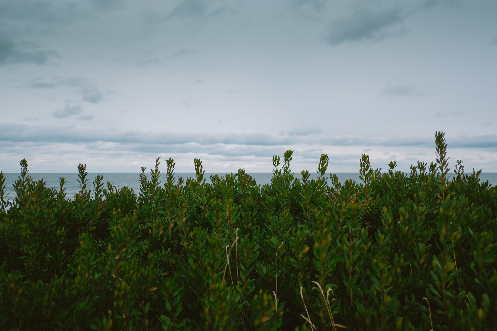 An Autumn Wedding in Indian River Prince Edward Island