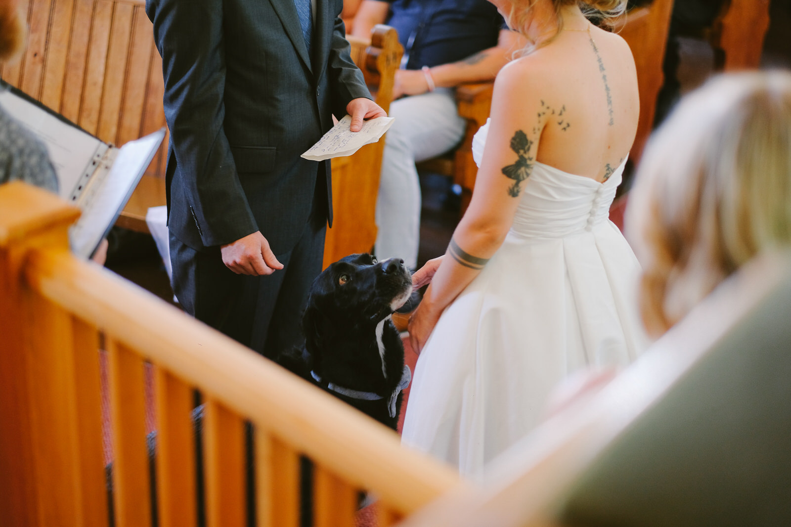 warwick mountain tatamagouche nova scotia wedding