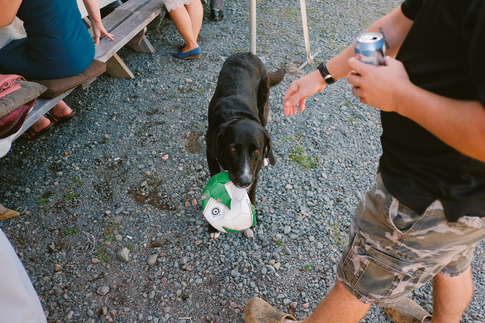 warwick mountain tatamagouche nova scotia wedding