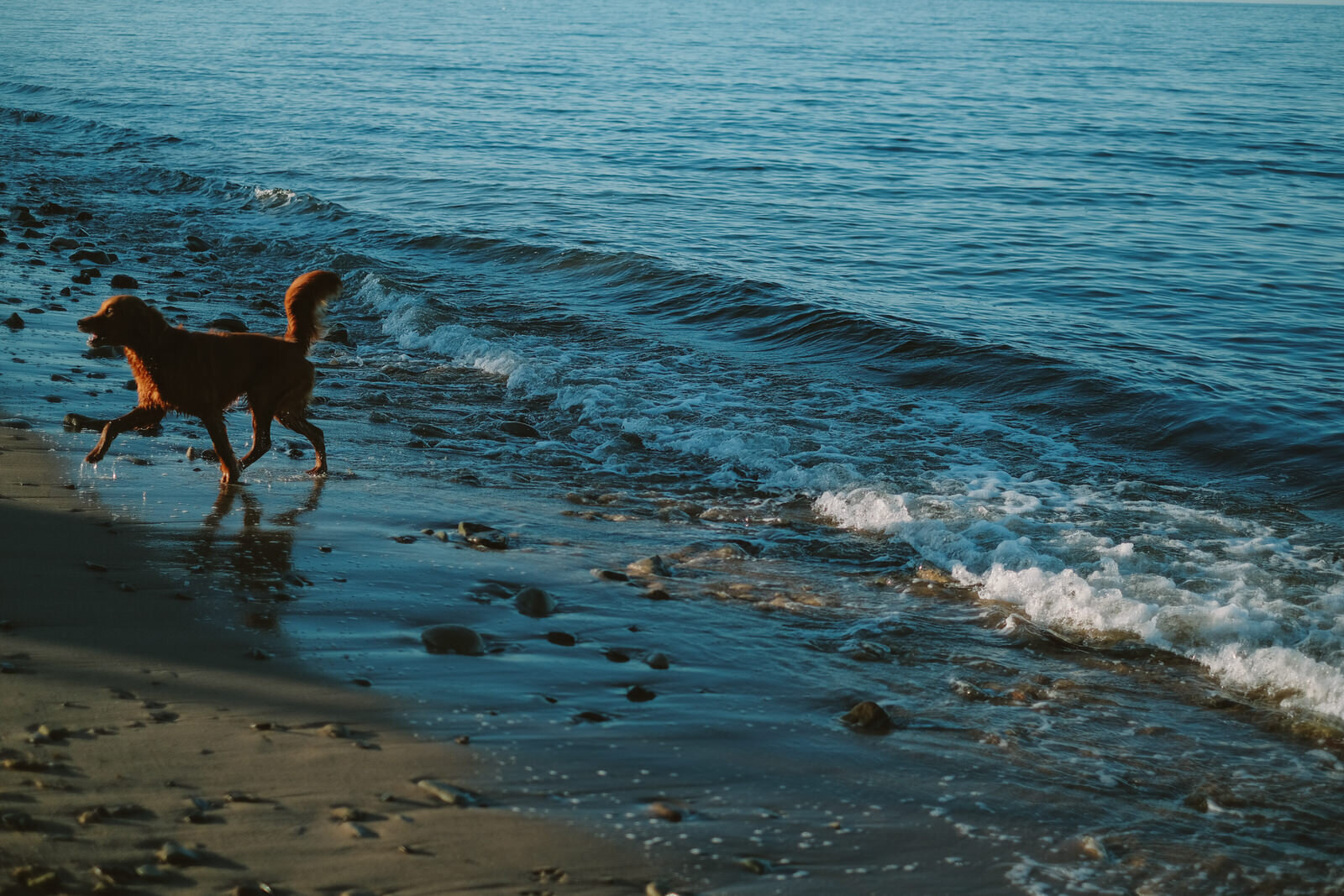 Pictou Nova Scotia Engagement Photos