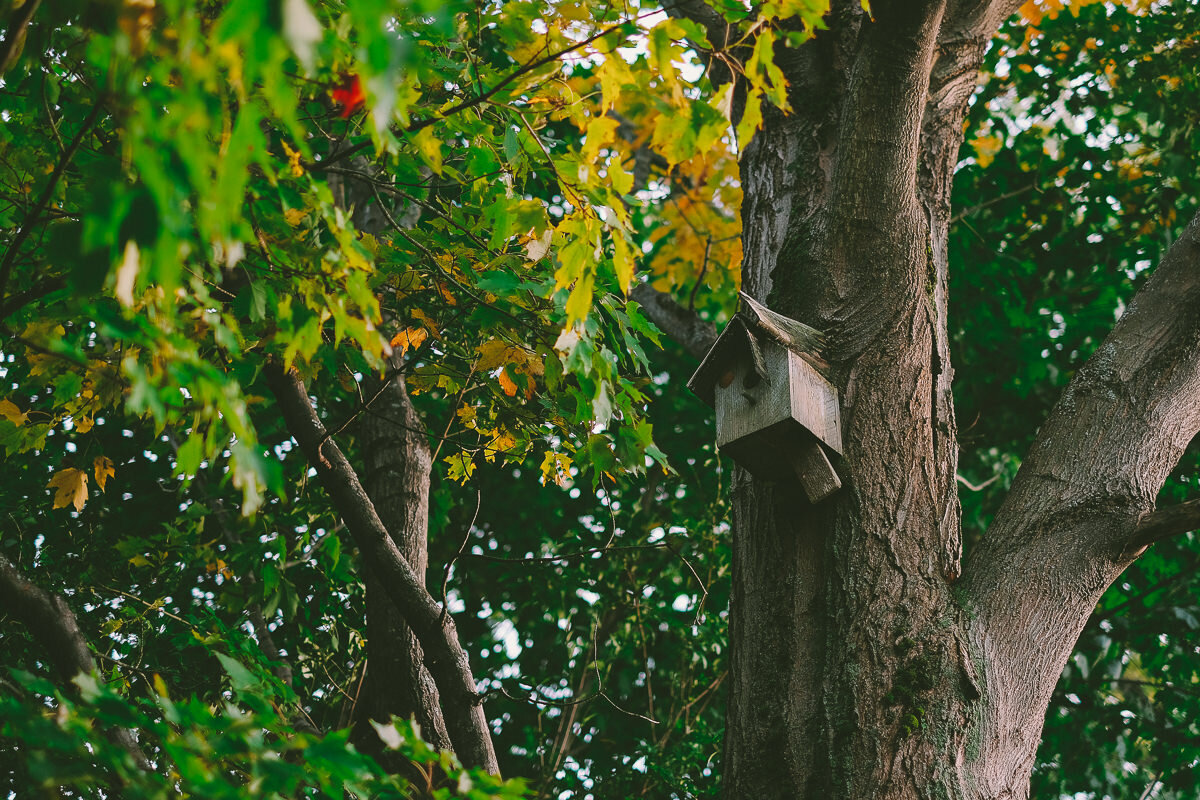  A fall wedding at Sullivan's Pond in Dartmouth, Nova Scotia, followed by a backyard reception. Formal photographs along the Dartmouth Waterfront by Evan McMaster, a Halifax based Wedding Photographer. 