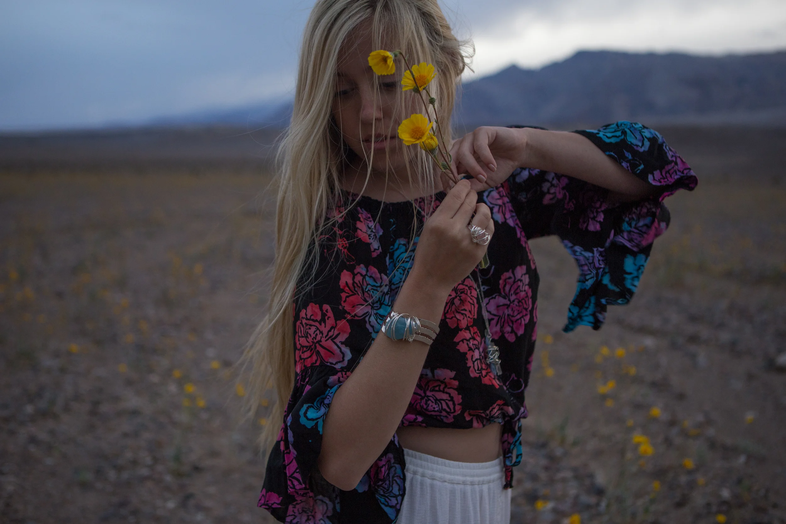 AstroBandit_JordanRose_DeathValley_Superbloom_StormClouds_3.jpg