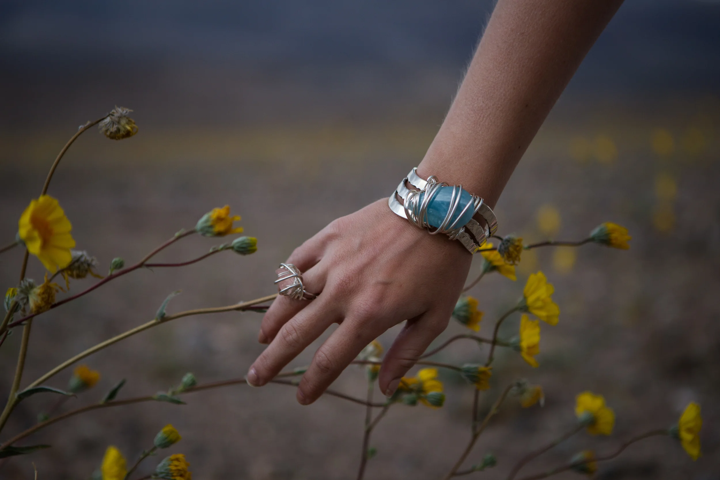 AstroBandit_JordanRose_DeathValley_Superbloom_StormClouds_4.jpg