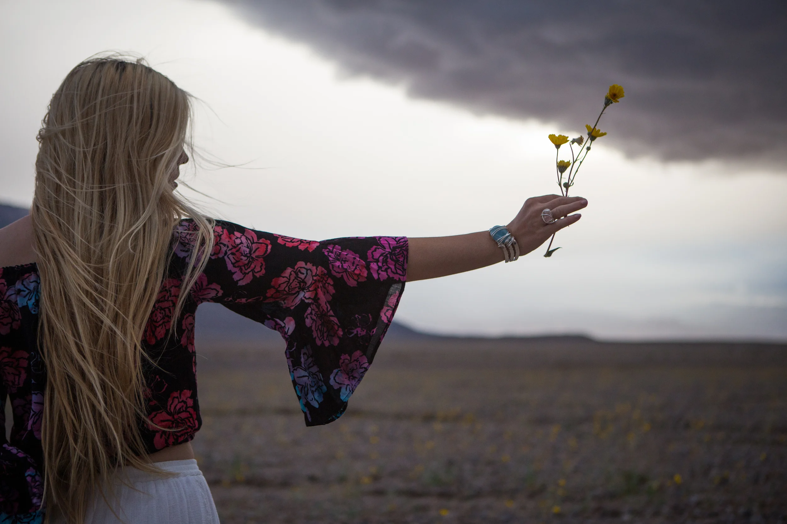 AstroBandit_JordanRose_DeathValley_Superbloom_StormClouds_9.jpg