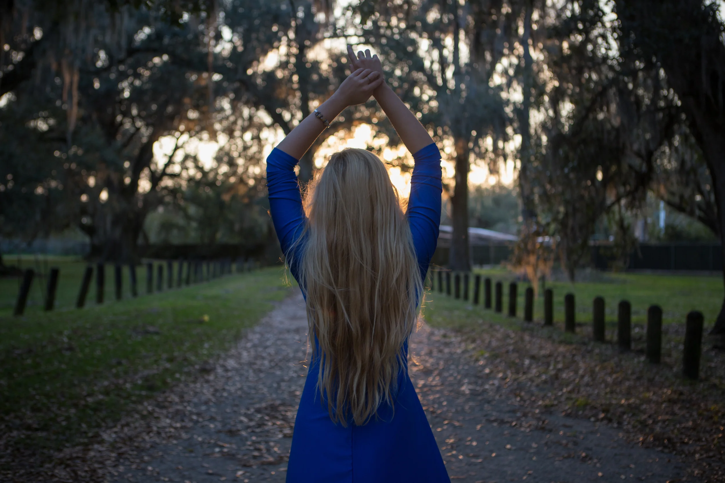 AstroBandit_JordanRose-TreeOfLife_NewOrleans_CobaltBlueDress_6.jpg