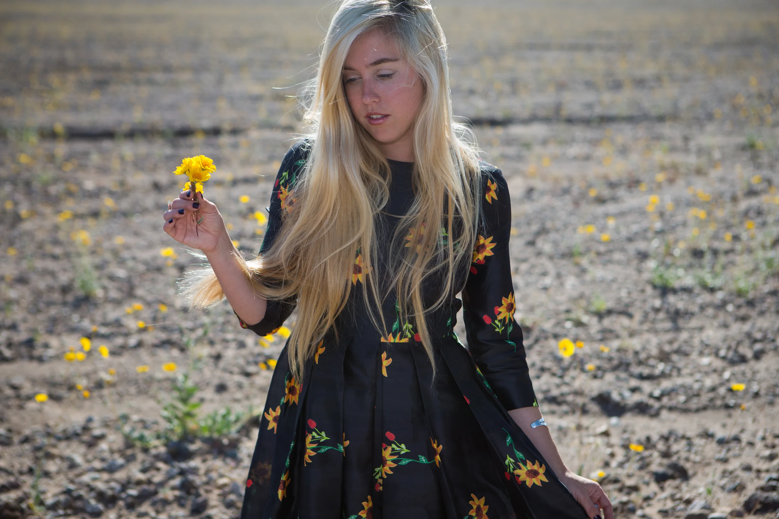 AstroBandit_JordanRose_DeathValley_Superbloom_5.jpg