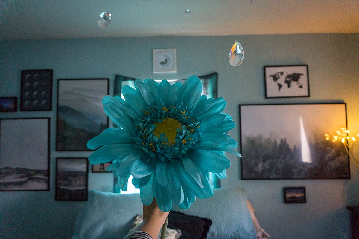 JordanRose_AstroBandit_LosAngeles_HomeInspo_Desenio_3.jpg