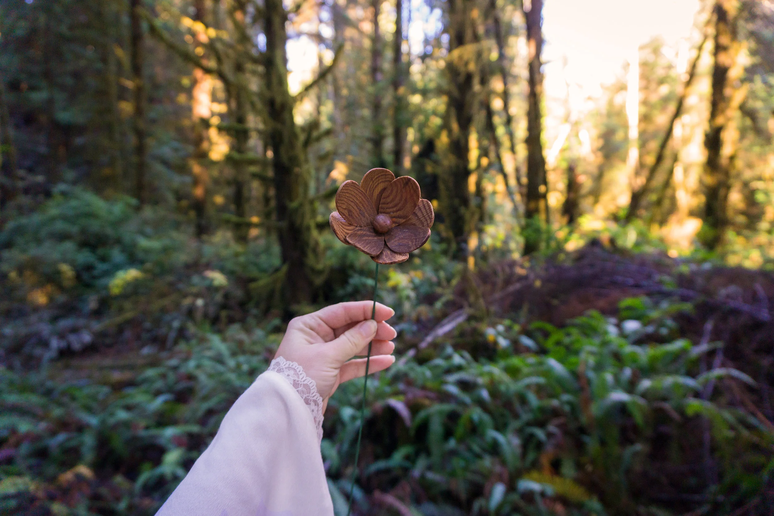 AstroBandit_ForLoveandLemons_Redwoods_PrairieCreek_WhiteDress_3.jpg