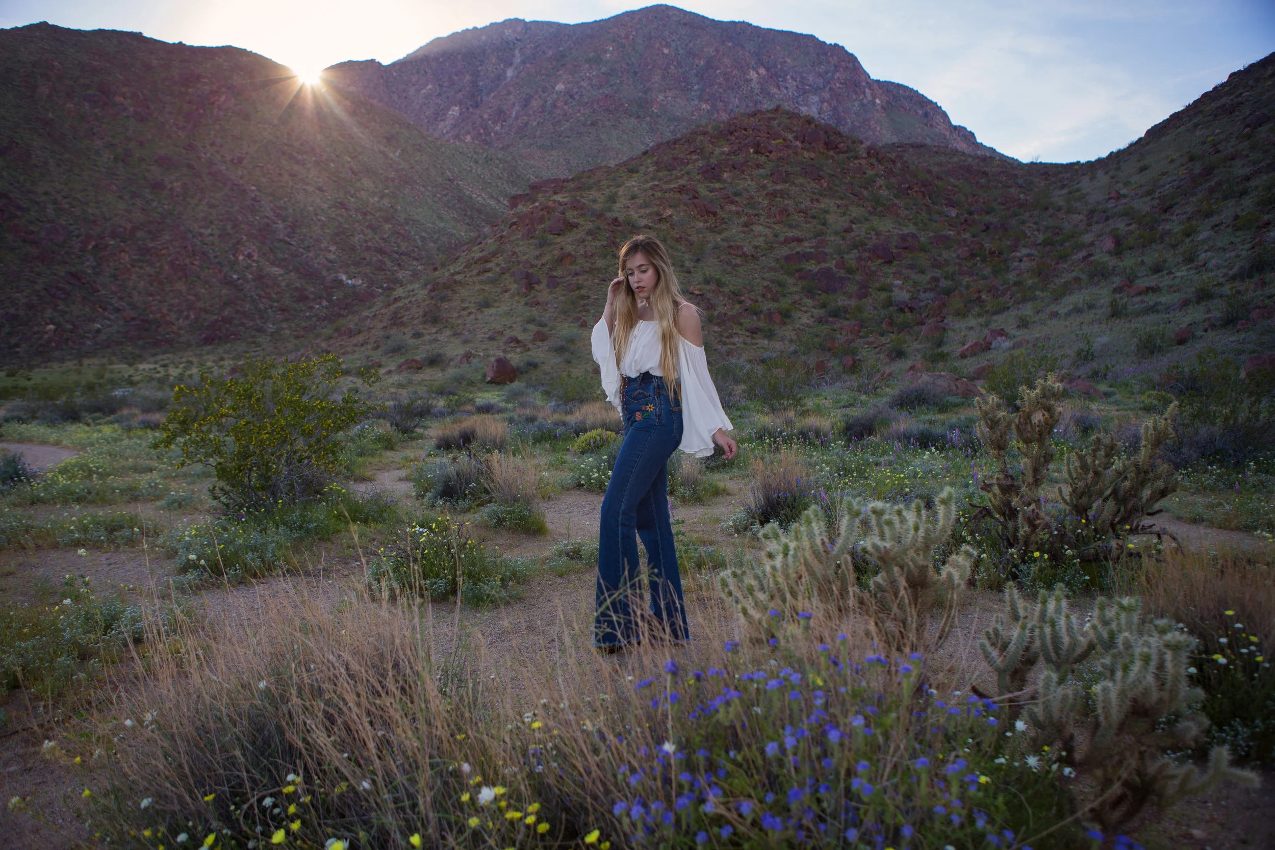 AstroBandit_AnzaBorrego_Superbloom_4.jpg