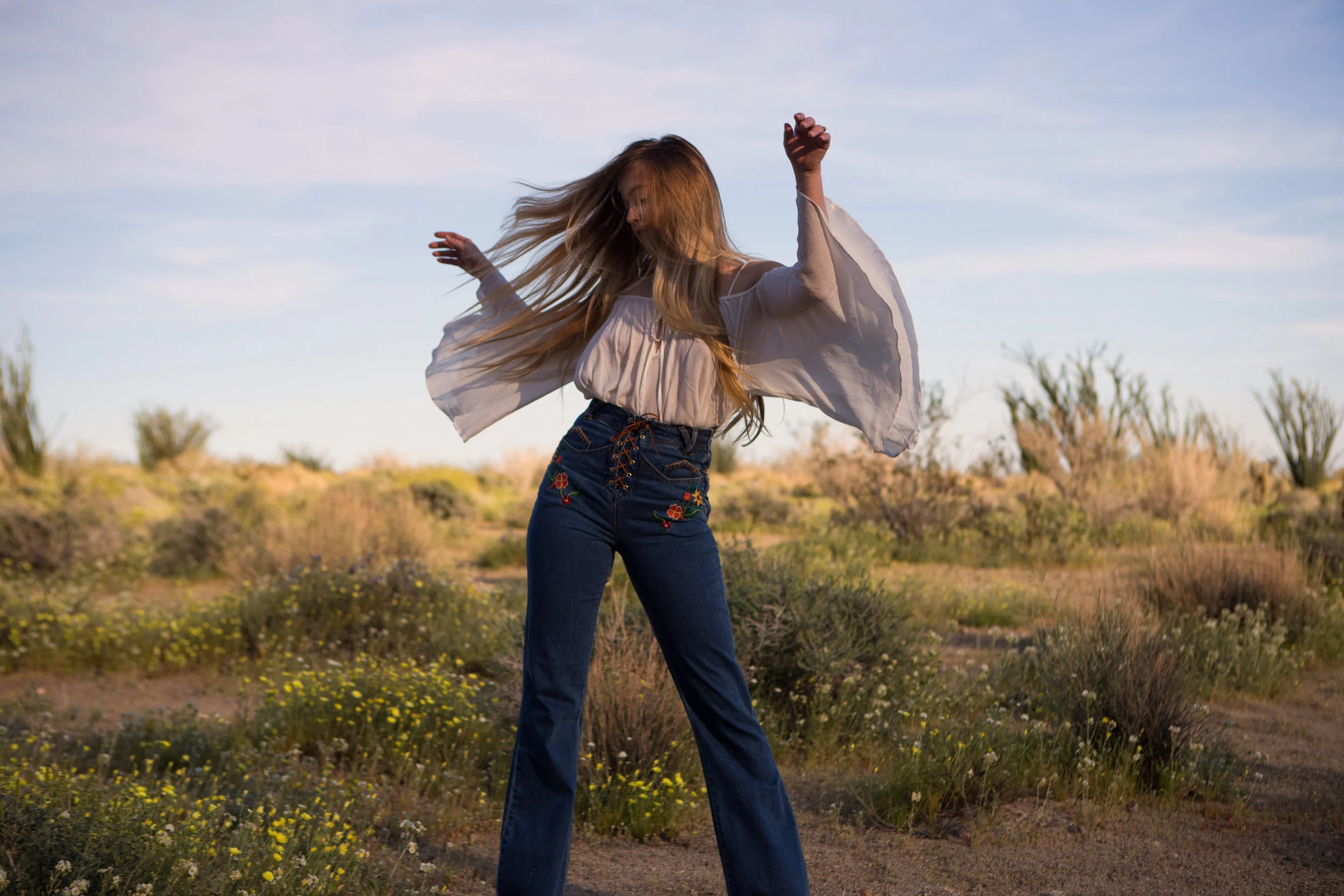 AstroBandit_AnzaBorrego_Superbloom_3.jpg